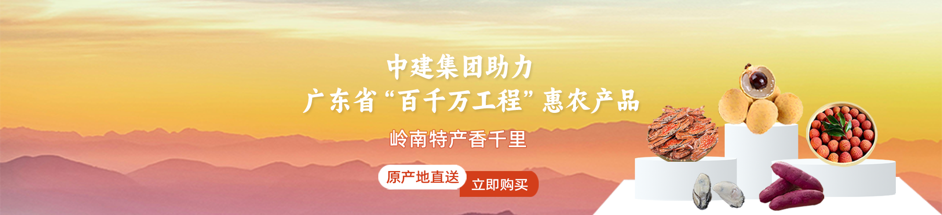 中建助力百千万工程